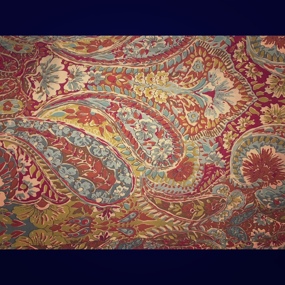 Queen size Paisley print Cotton Duvet Cover